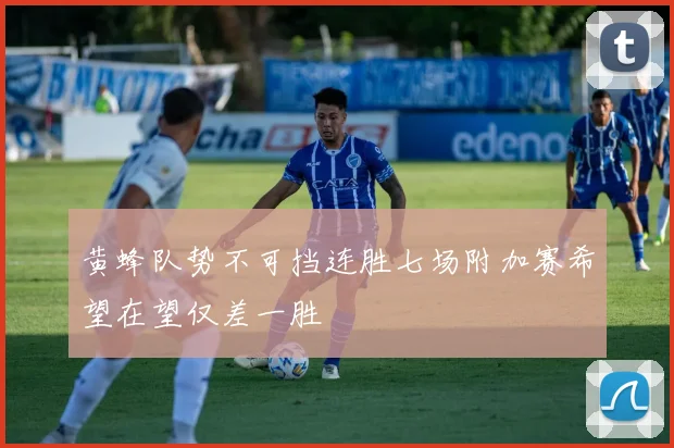 黄蜂队势不可挡连胜七场附加赛希望在望仅差一胜